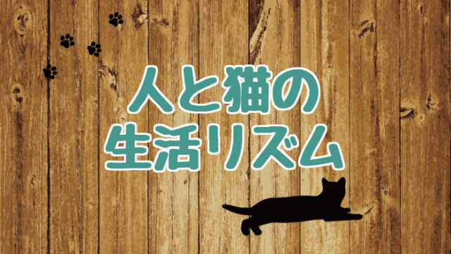 ブログ_アイキャッチ_人と猫の生活リズム